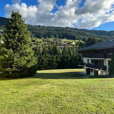 L'epicea - Apartment Praz-sur-Arly
