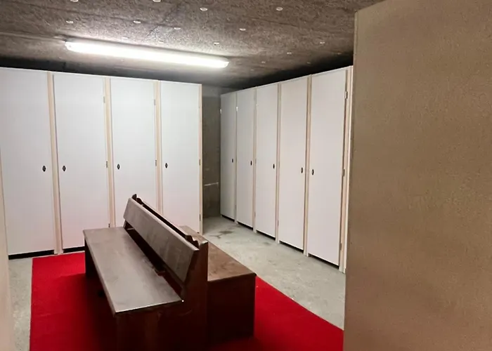 L'epicea - * Praz-sur-Arly